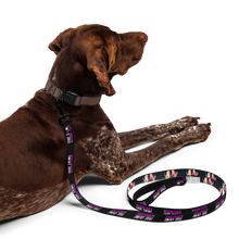 Load image into Gallery viewer, Pet leash