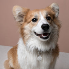 Load image into Gallery viewer, Engraved "True Crew Pet" ID tag