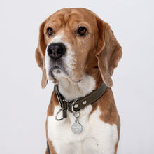 Load image into Gallery viewer, Engraved "True Crew Pet" ID tag