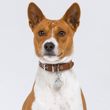 Load image into Gallery viewer, Engraved "True Crew Pet" ID tag